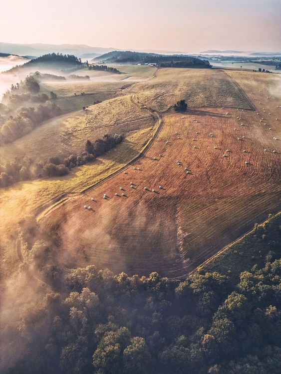 Pastviny nad Jetřichovem