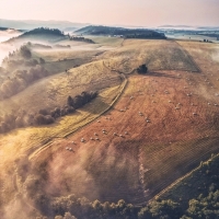 Pastviny nad Jetřichovem