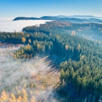 Poslední záchvěv podzimu II.